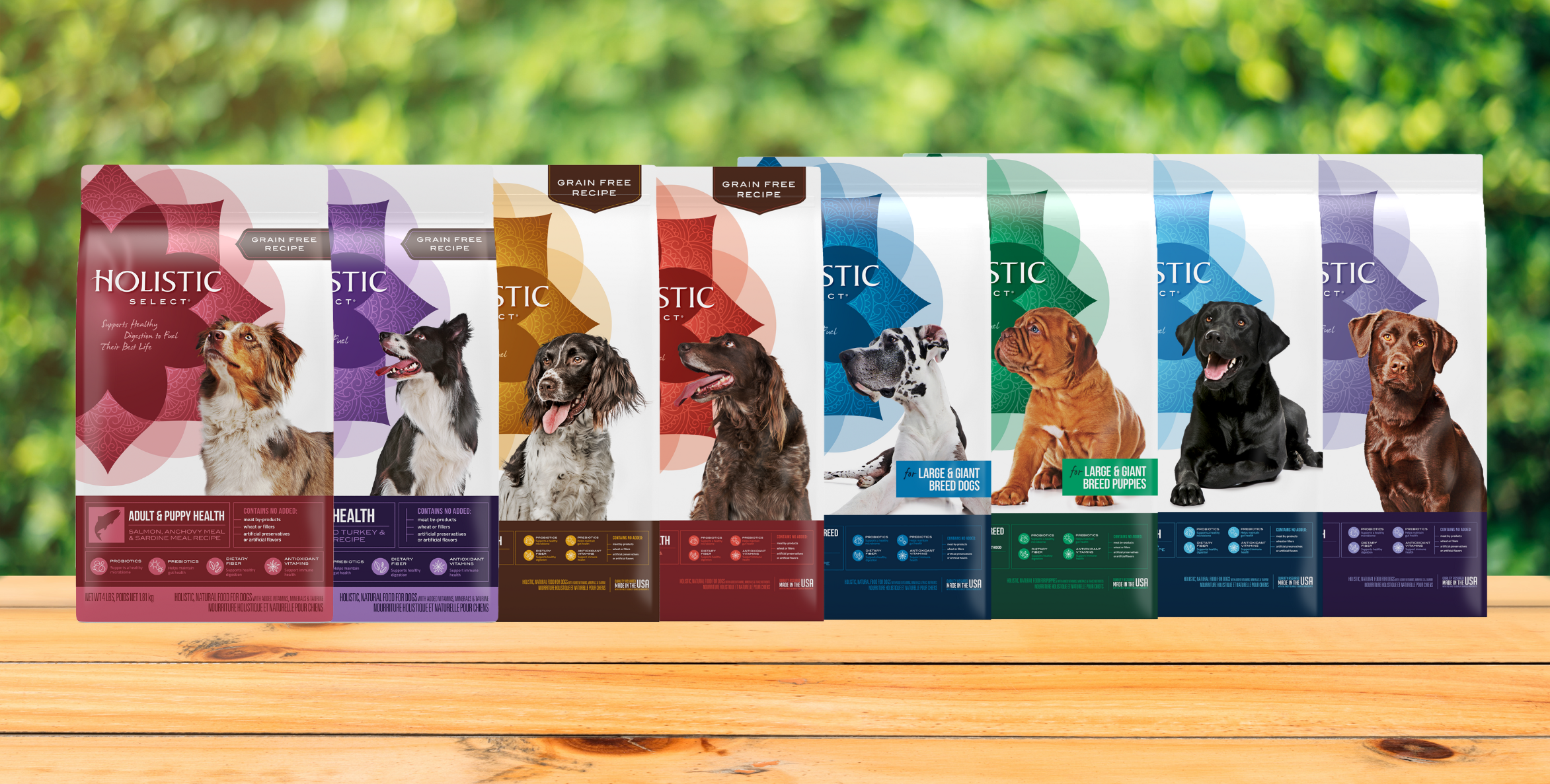 Buy holistic select hot sale dog food online